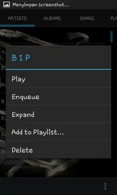 Mp3 Skull Player android App screenshot 5